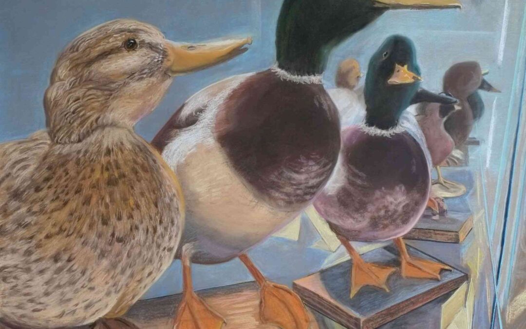 interview metropolis m met jacobien de rooij